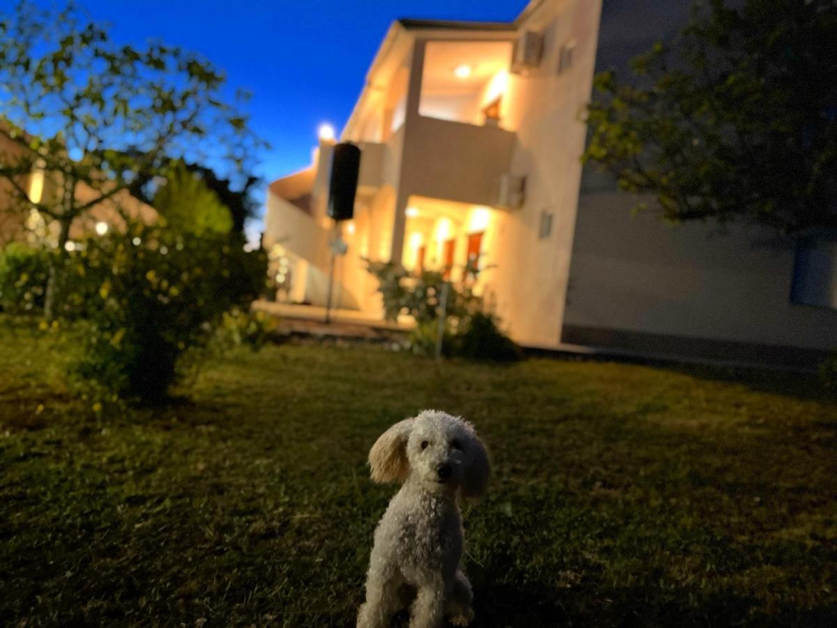 Apartments Fortuna Biograd Na Moru Extérieur photo